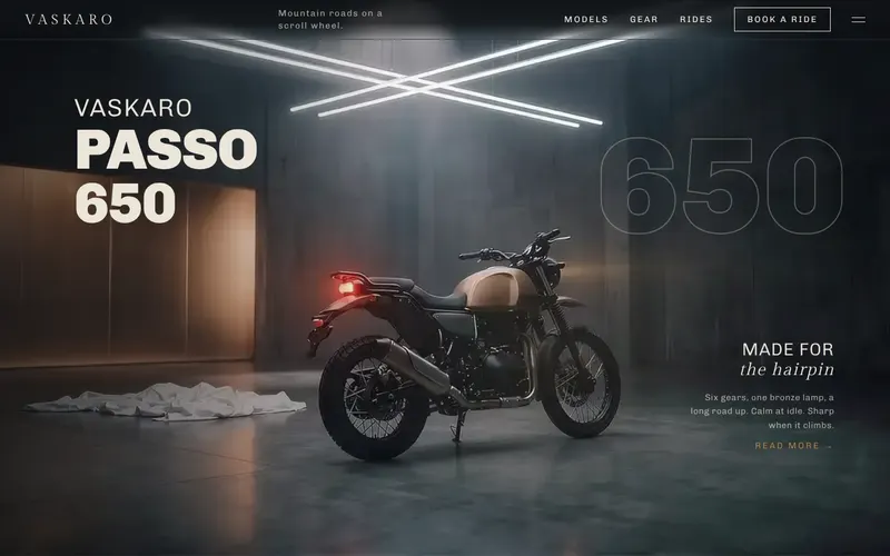 Vaskaro website design